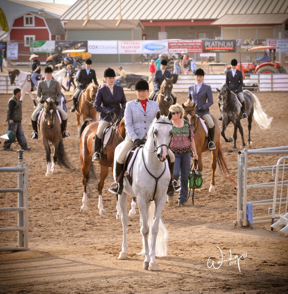 horse