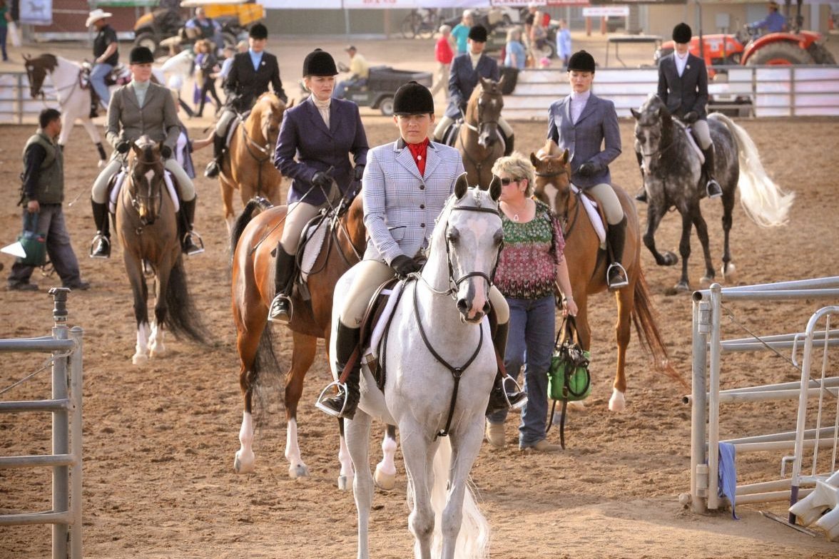 horse show