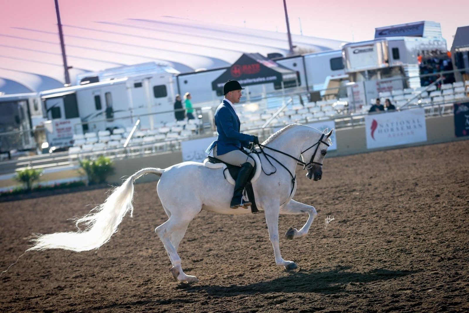 white horse at horse show