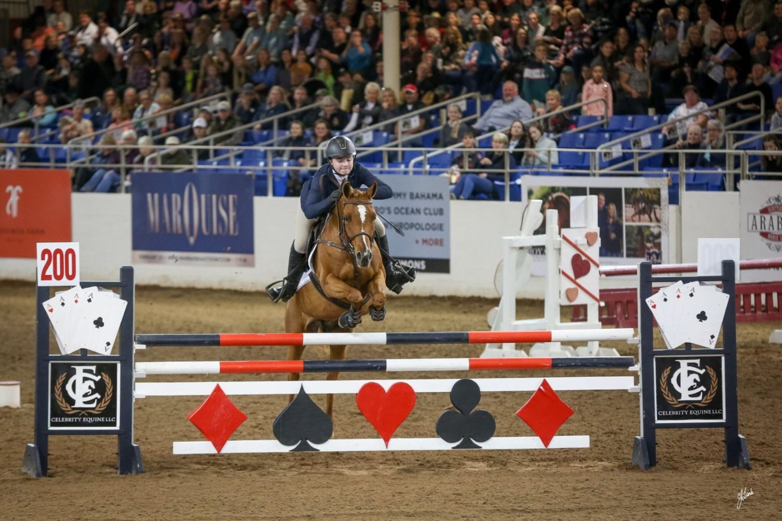 horse jumping