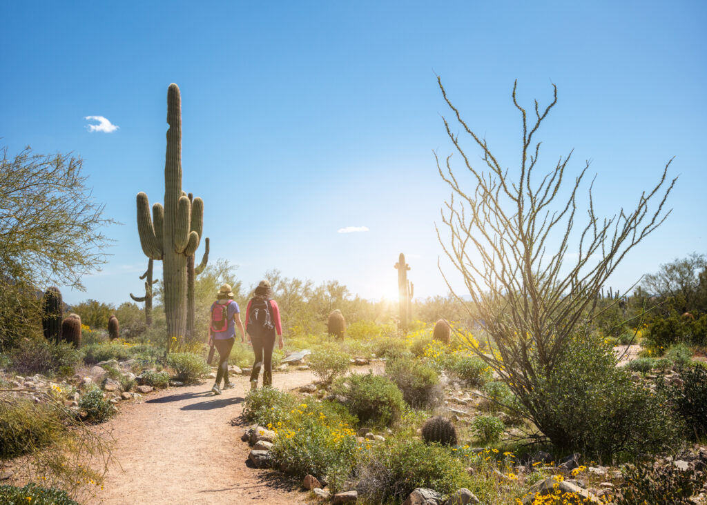 Scottsdale Spring Hiking