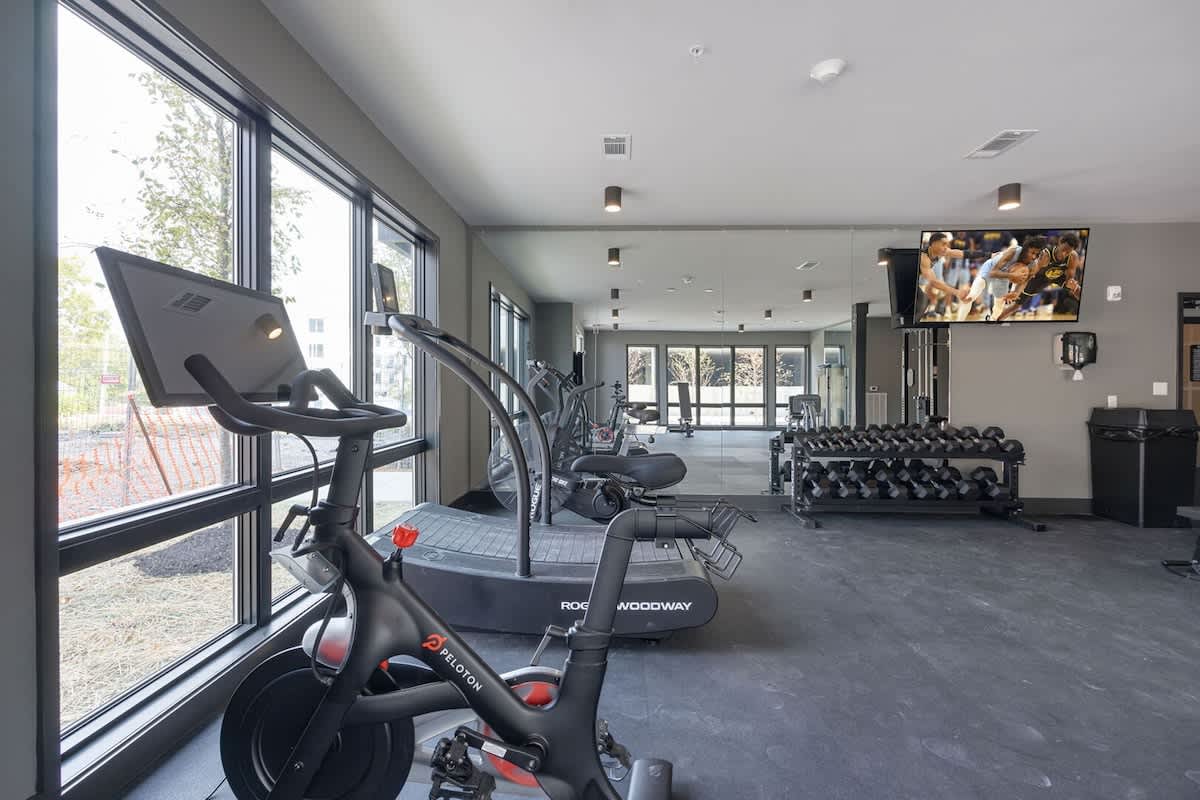 Communal Area: Gym offering a wide range of workout equipment, and a Smart TV.