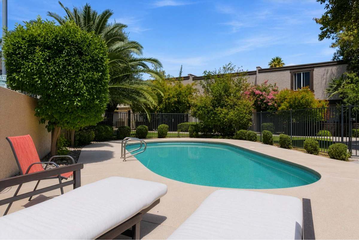 Communal Pool surrounded by palm trees and desert landscaping, offering a sunny spot to cool off, lounge poolside, and soak up the Scottsdale sunshine.